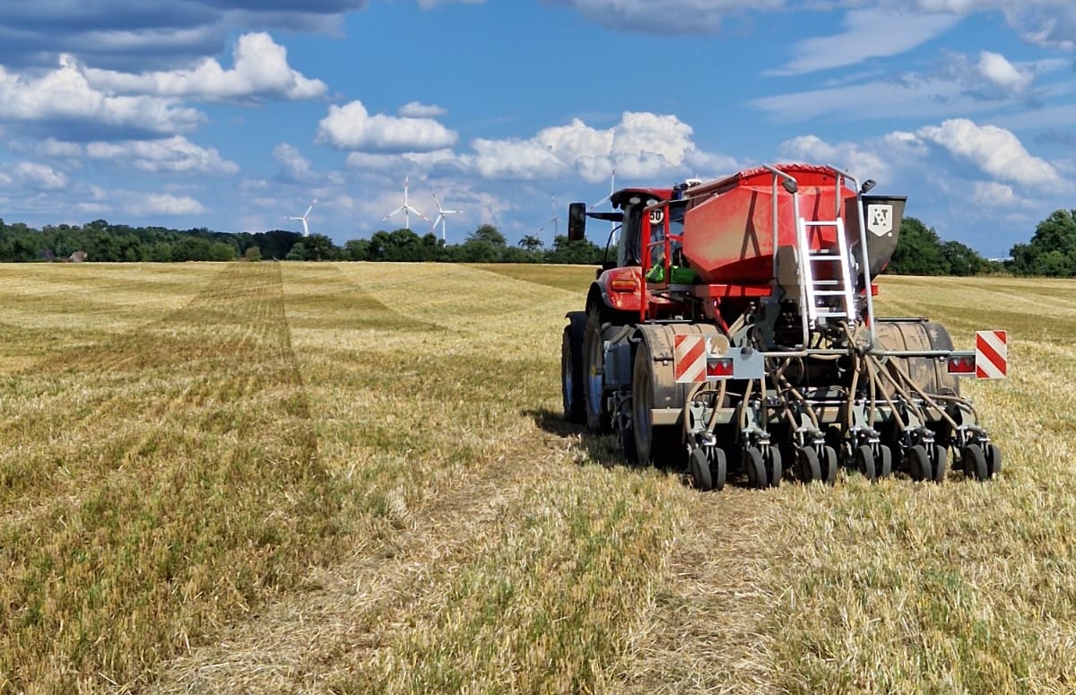 Zwischenfrucht – Demoanlage – Auf der Suche nach geeigneten Verfahren zur ganzjährigen Bodenbedeckung