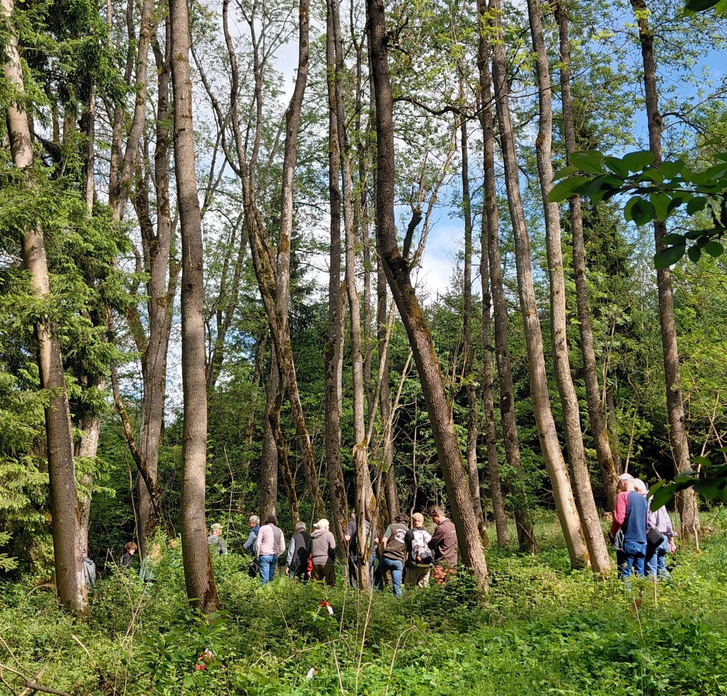 Symposium aufbauende Waldwirtschaft