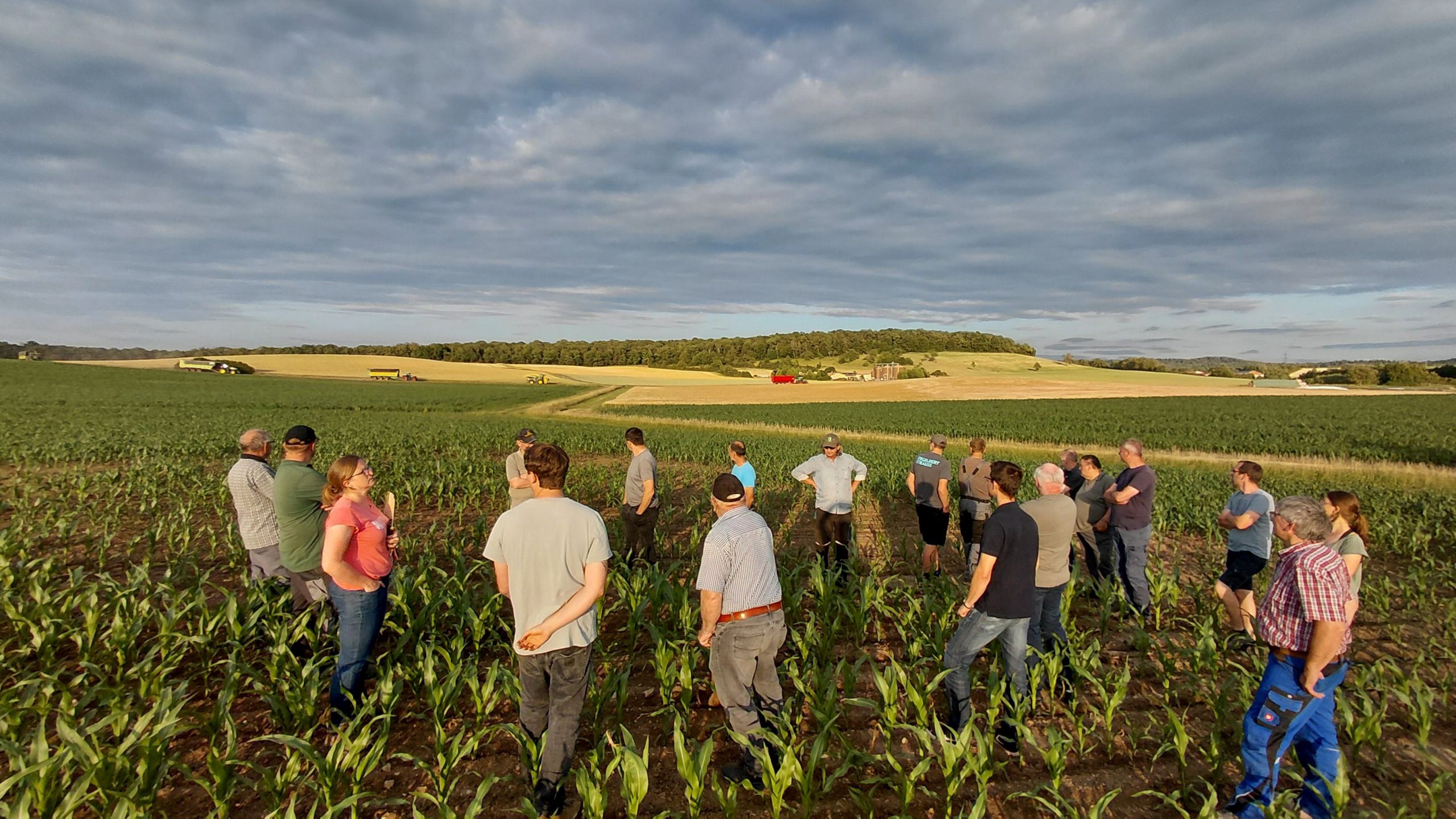 Boden:stammtische im Frühjahr 2026 – Landwirtschaftliche Initiativen für mehr Erosionsschutz und Wasserversickerung leben vom Austausch